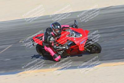 media/Jan-13-2025-Ducati Revs (Mon) [[8d64cb47d9]]/3-B Group/Session 5  (Turn 10 Inside)/